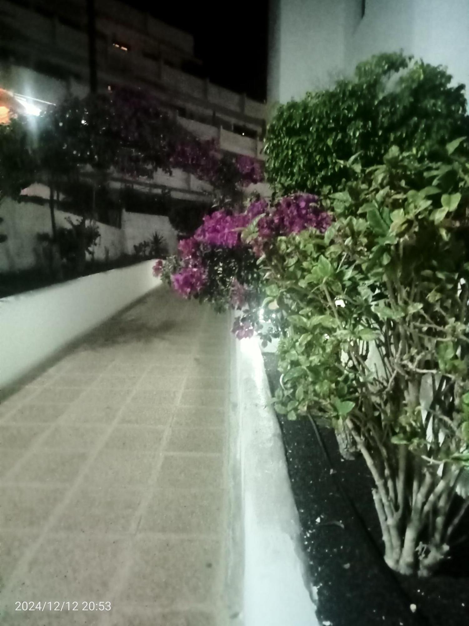 شقة Penthouse Sea View Jacuzzy Terrace & Pool Playa Feñabe المظهر الخارجي الصورة