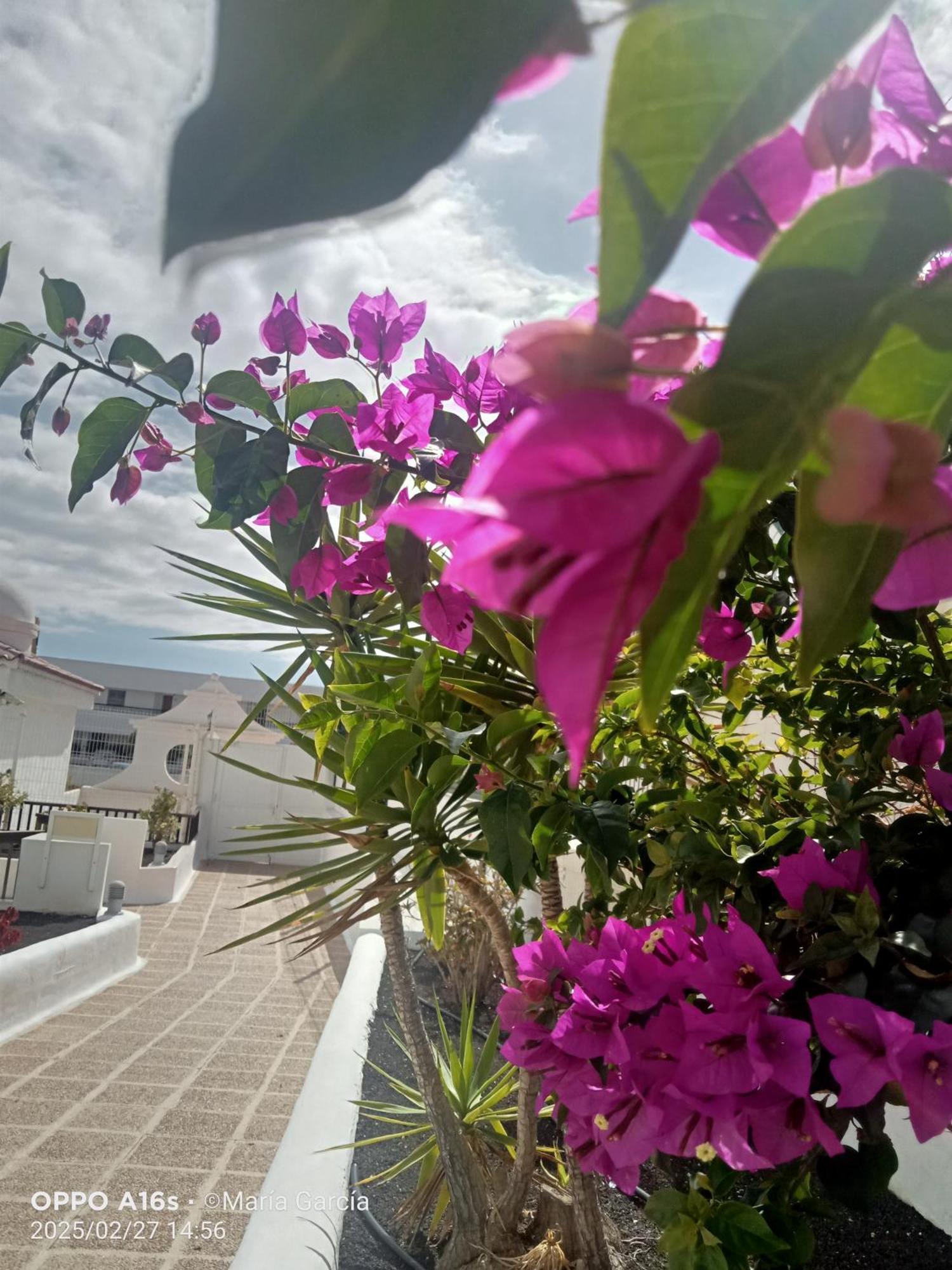 شقة Penthouse Sea View Jacuzzy Terrace & Pool Playa Feñabe المظهر الخارجي الصورة